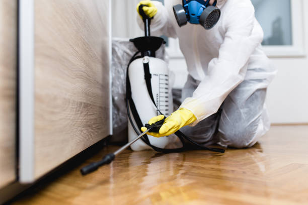Best Pest Prevention Services  in Elkhart, KS
