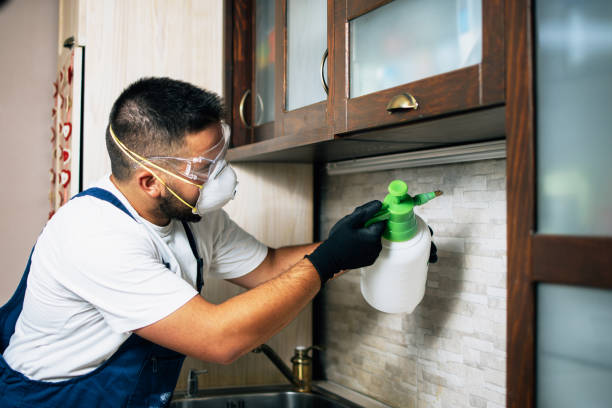 Best Insect Control  in Elkhart, KS