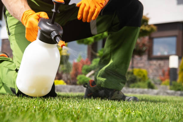 Best Pest Control Treatment  in Elkhart, KS