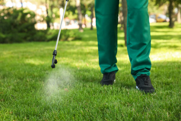 Reliable Elkhart, KS Pest Control Solutions