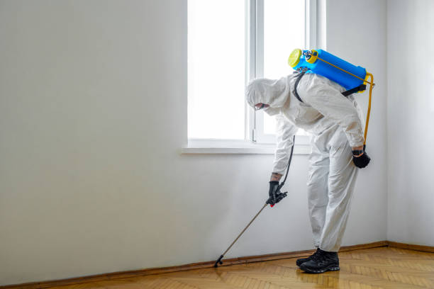 Best Affordable Pest Control Services  in Elkhart, KS