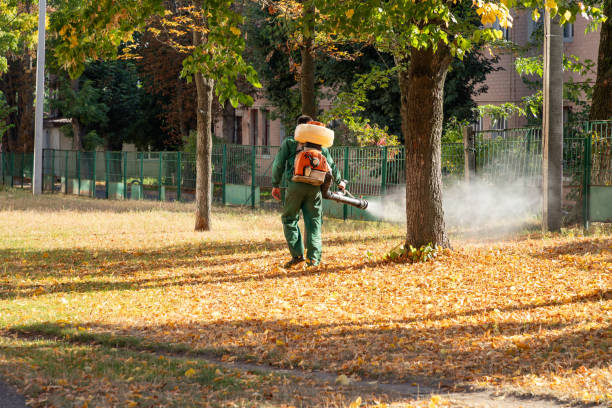 Best Wasp Removal Services  in Elkhart, KS