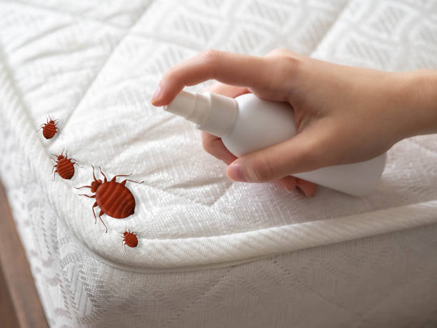 Best Affordable Pest Control Services  in Elkhart, KS
