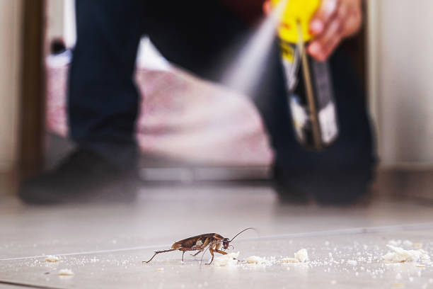 Best Pest Control Near Me  in Elkhart, KS
