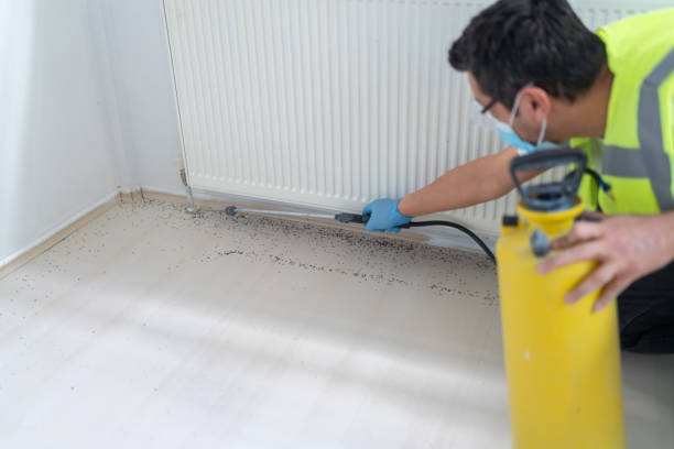 Best Emergency Pest Control  in Elkhart, KS