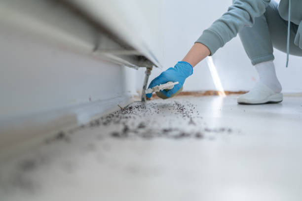 Best Ant Control Services  in Elkhart, KS