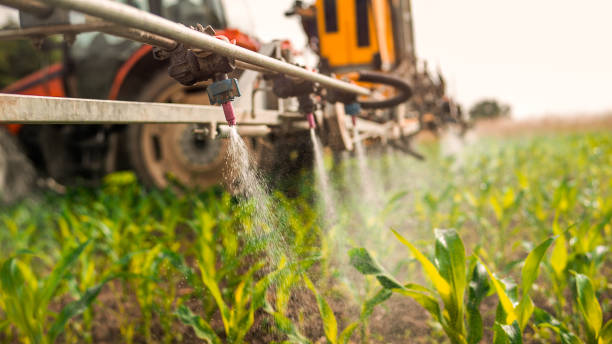 Best Commercial Pest Control Services  in Elkhart, KS